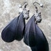 Midnight Owl Feather Earrings