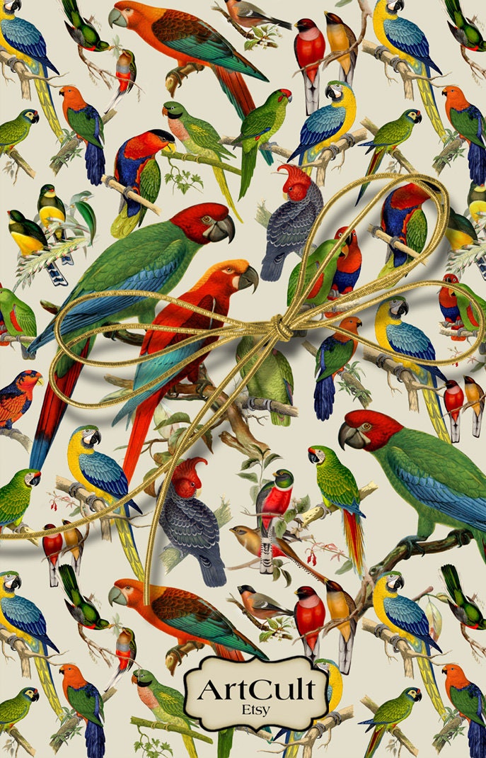 birds-print-your-own-wrapping-paper-digital-collage-by-artcult