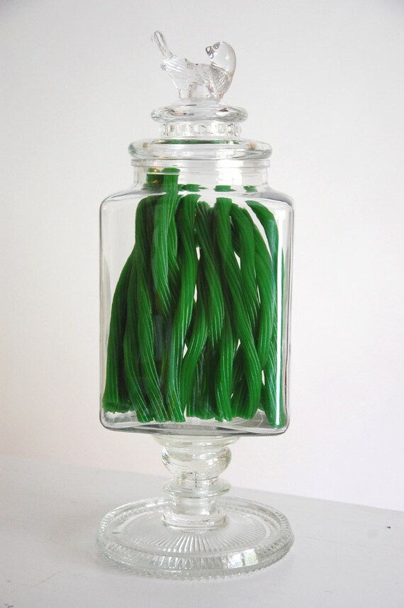 TWIZZLER Apothecary Bird Glass Jar Holiday by bloomingtwigstudio