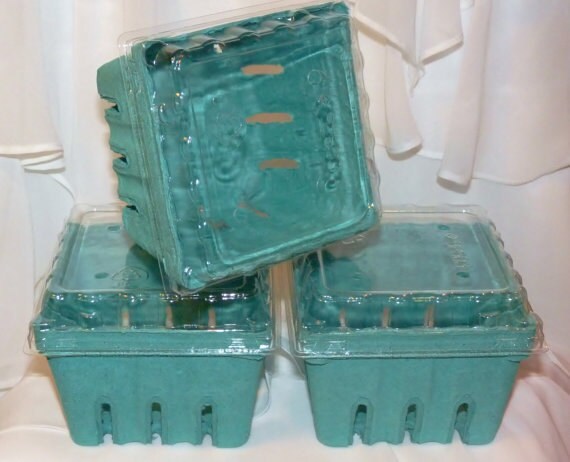 NEW LIDS for Lola's Pulp FarmStand Berry Baskets and Wood Berry Baskets/ Lids ONLY Il_570xn