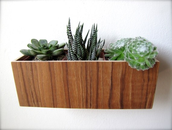 Wall Planter 8 Hanging Planter Plant Holder in by thewoodybeckers