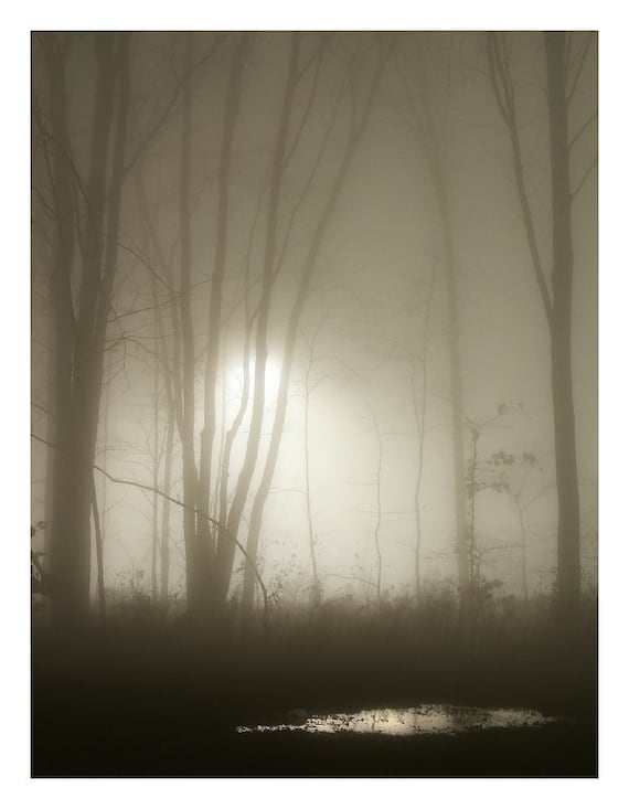 Night Fog - Photo Print - Nature Photography (NP03) - FirstShotPhoto