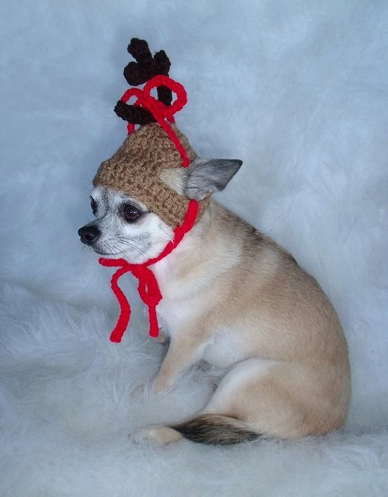 The GRINCHs DOG MAX - Christmas pet hat - Reindeer Humorous - 2 to 20 lb pets- Need Measurements