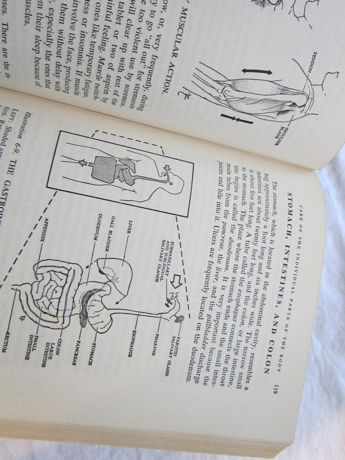 2 antique MEDICAL reference books circa 1950s by theartfloozy