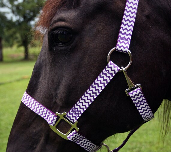 Chevron Horse Halter Purple and White Chevrons by Pugs2Persians