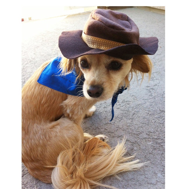 Custom Cowboy Hat and Bandana Pet Halloween Costume - cat or dog costume
