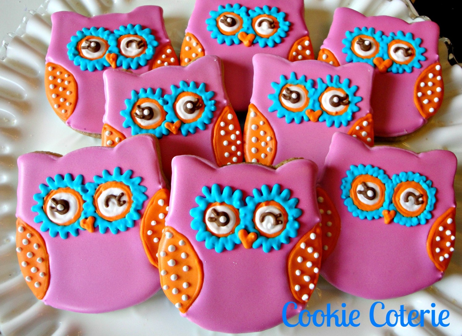 You're A Hoot Owl Decorated Cookies Birthday Party Cookie Favors One Dozen