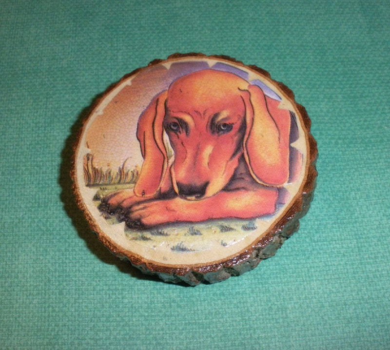 Dachshund Dog on a Rustic Wood Tree Branch Magnet - WoodlandWorkshop