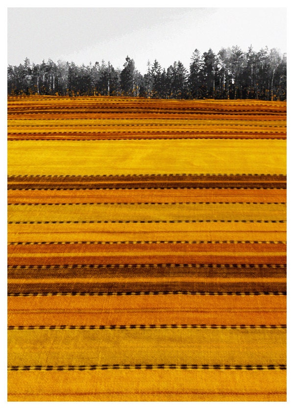 Fields of Gold - Orange, Yellow and Brown Striped, Landscape with Field and Forest, Autumn, Black and White Forest - ArtForOwl