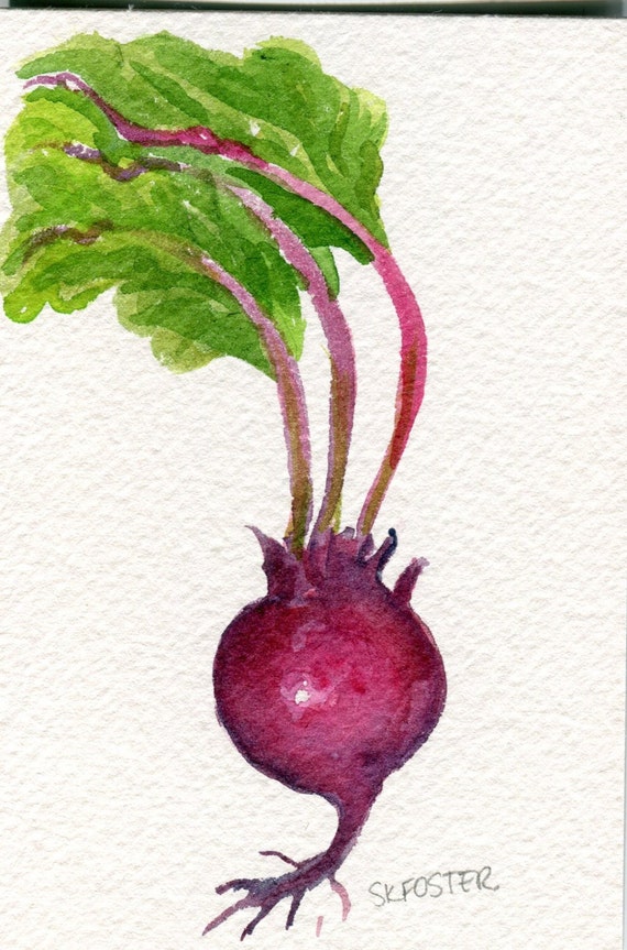 Beet Watercolor Painting Original Vegetable By Sharonfosterart