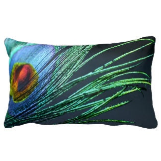 Pillow, Peacock Feather, Feather, Green, Emerald, Blue, For her,  Rainbow, Home Decor, - 8daysOfTreasures