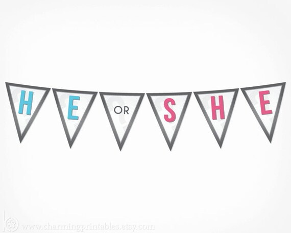 Gender Reveal Banner - PRINTABLE Banner - DIY Digital File - Gender Neutral - Blue Pink Gray - Gender Reveal Collection Il_570xn