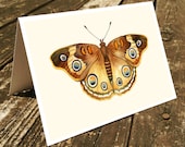 Set of 4 handmade cards - Butterfly Cards, Stationary - "Butterfly", nature, garden, watercolor cards - blackteacafe