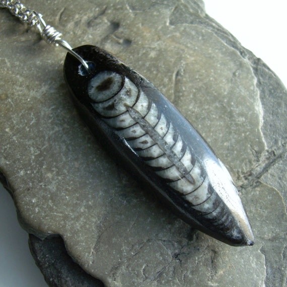 Twin Orthoceras Fossil Pendant Black Stone Jewelry by cindylouwho2
