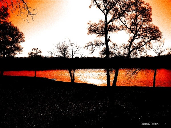 Southwestern Lake Abstract Scenic Sunset Landscape Tree Woodland Woods Digital Art Giclee Print 8 x 10 - GrayWolfGallery