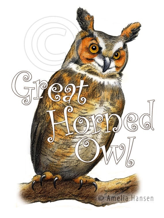 Items similar to Great Horned Owl Cartoon Art Print by Amelia Hansen on