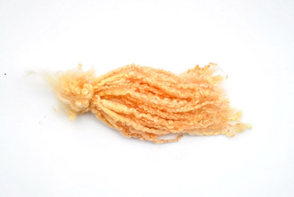 Hand dyed blond yellow Teeswater separated lock 50 gr for Doll Hair - Blythe Doll Hair ,  Art Dolls, blythe reroot  , spinning and felt