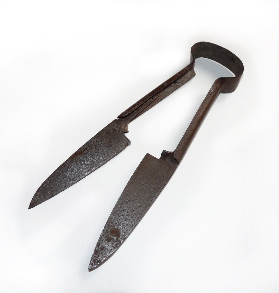 Antique Sheep Wool Shears by on Etsy