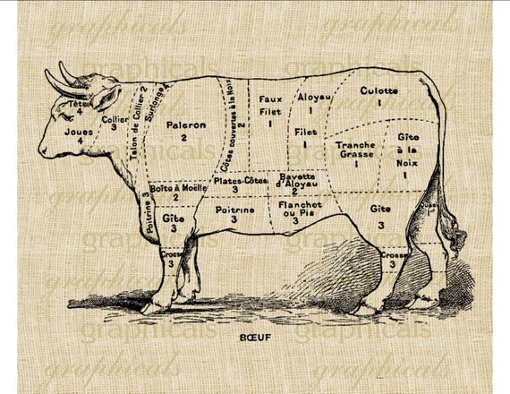 French beef cuts Cattle Instant digital download by graphicals