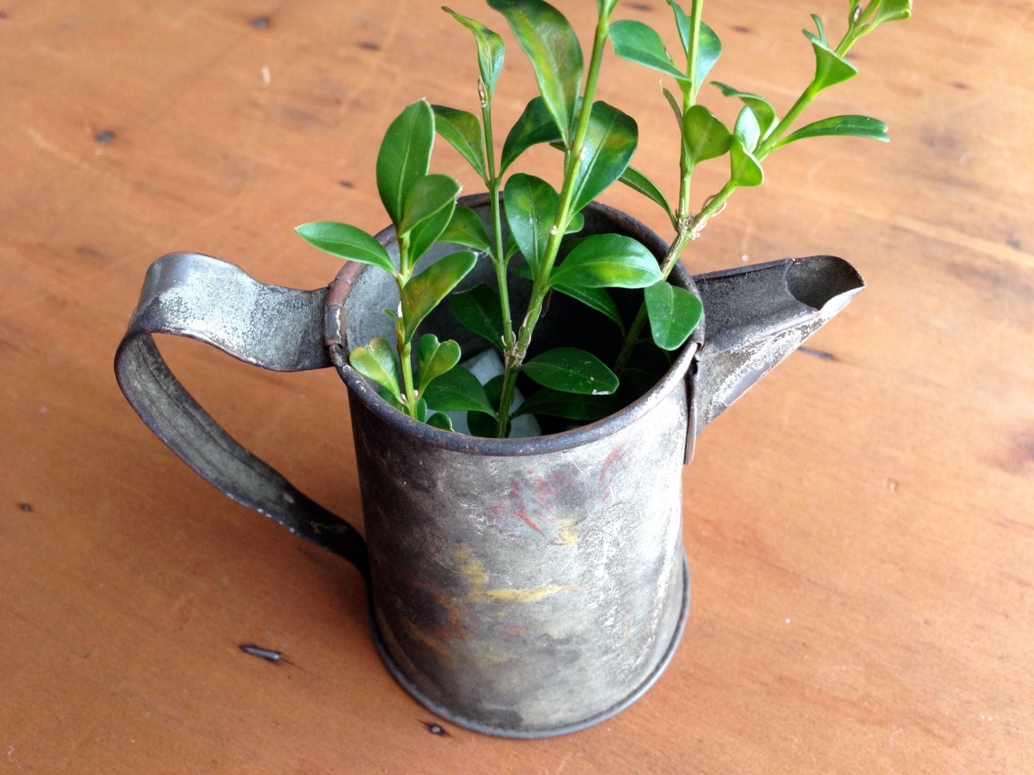 Miniature watering can farmhouse decor - thefrolickingfrog