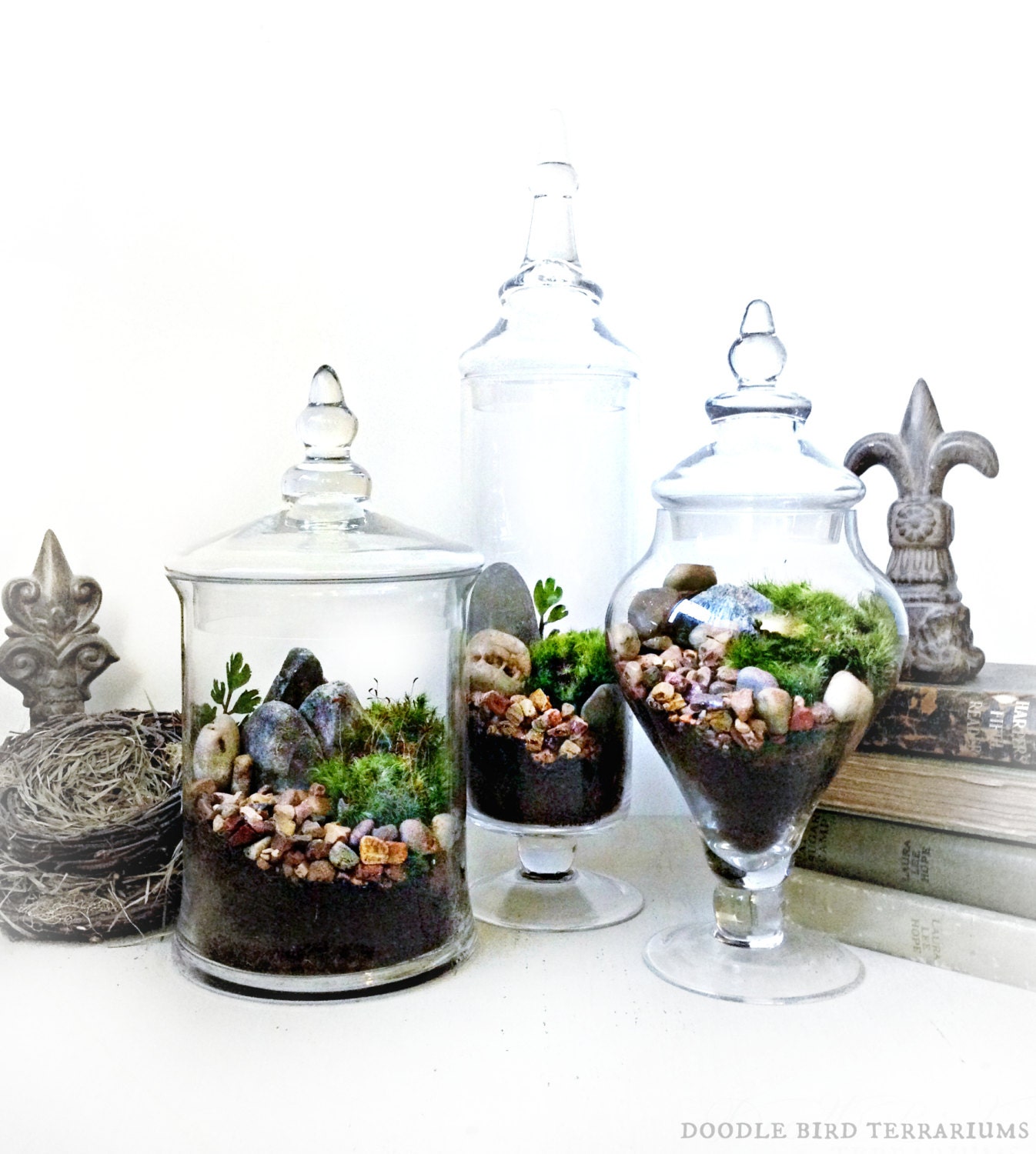 Terrarium Set 3 Large Decorative Apothecary Jar by DoodleBirdie