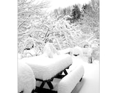 Snow Covered Deck, Maine Snow Storm, Snow Laden Picnic Table & Deck, got snow, Maine Snowy Winter Landscape, FREE SHIPPING USA