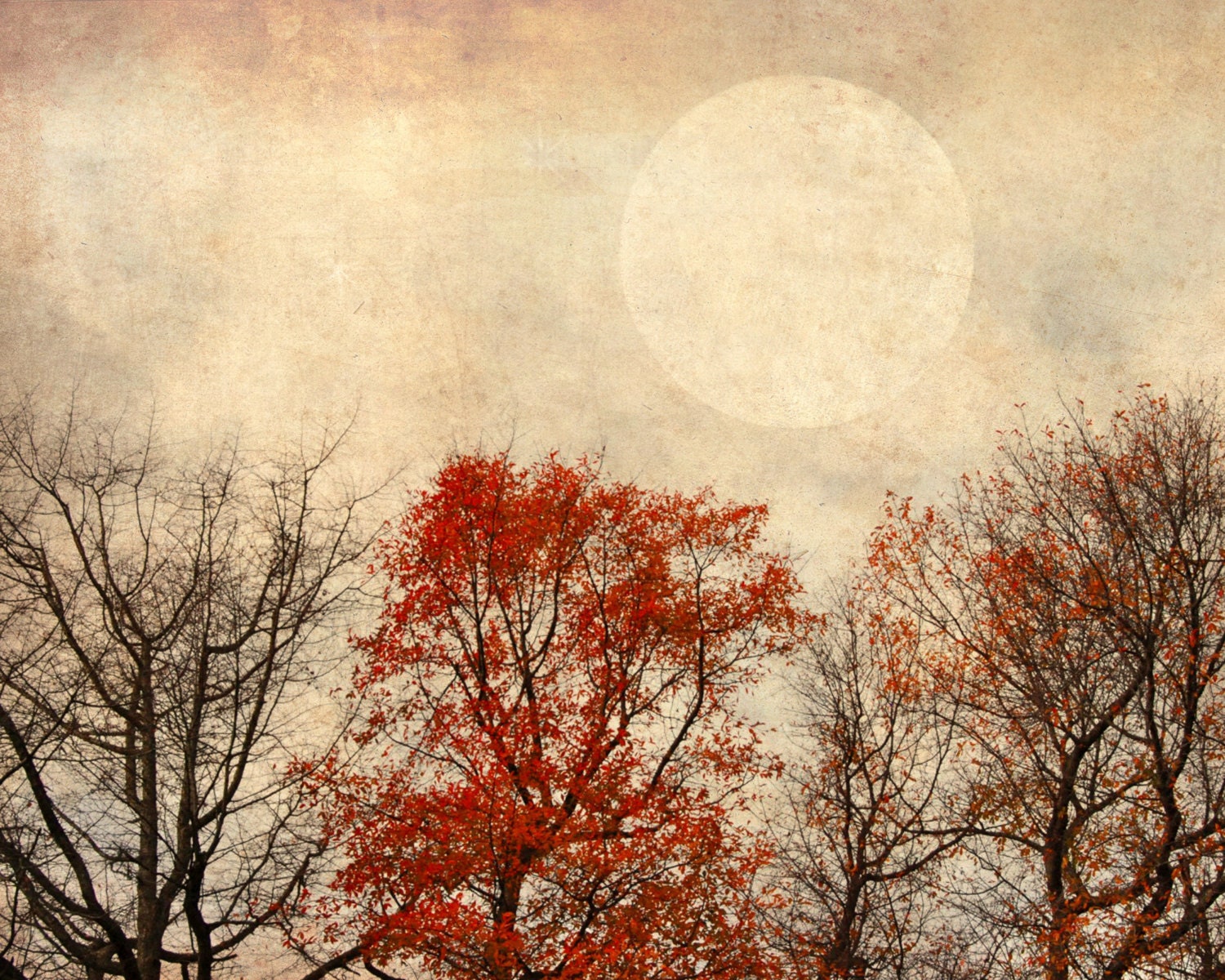 Full moon autumn harvest photograph fall rust red orange home decor - MaritebeePhotography