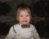 Brown and Tan Bow Tie