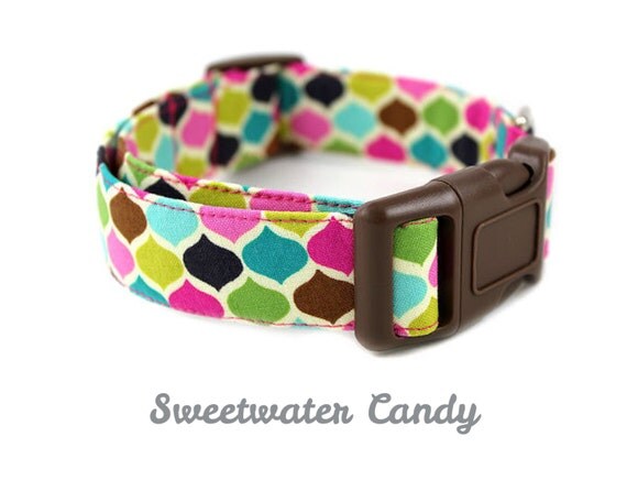 Sweetwater Candy Dog Collar Made to Order in by BowWowCouture