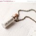 Alice in Wonderland jewelry - Bottle necklace - Drink me (N072)