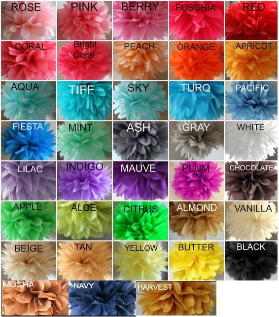 COLOR CHART Il_570xn