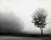 Black and white landscape photo autumn fog nature neutral minimalism modern trees - Grey 8 x 10 - gbrosseau
