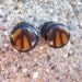 00G custom monarch plugs - black areng wood