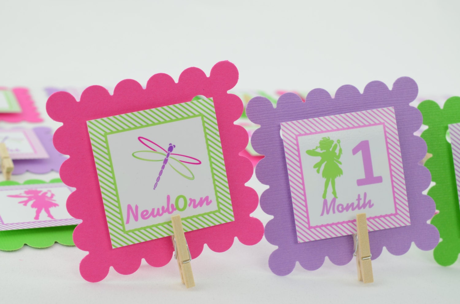 First Year Photo Mini Clips, First Year Banner, Fairy and Dragonfly Theme, Garden Birthday Party, Any Theme Il_570xn