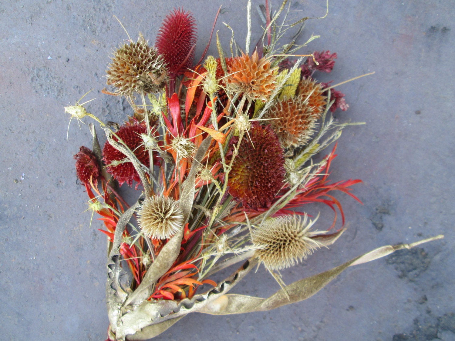 How Do You Dry Wild Flowers at Betsy Terry blog