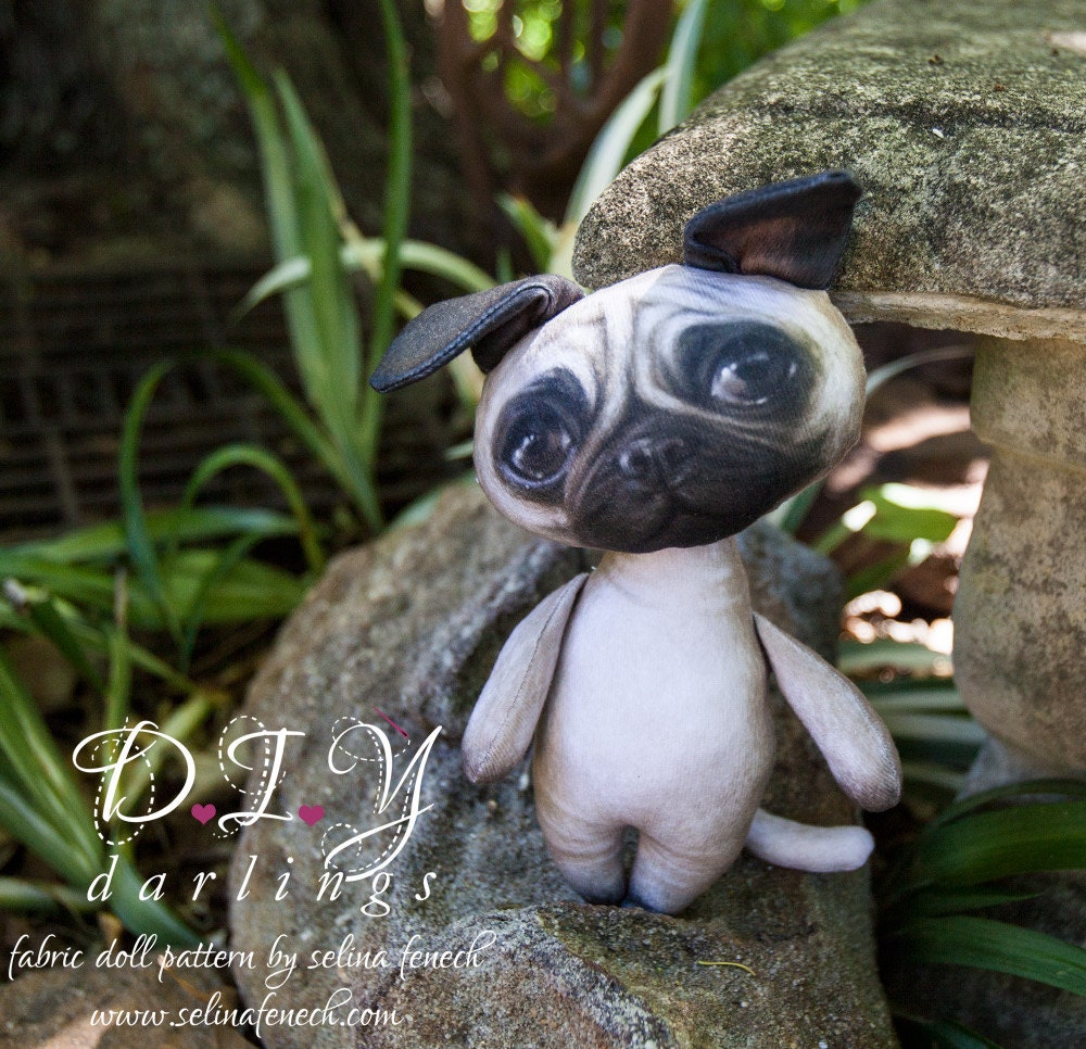 do pugs pop out pugs fall out breeds picture do pugs pop out pugs fall out breeds picture