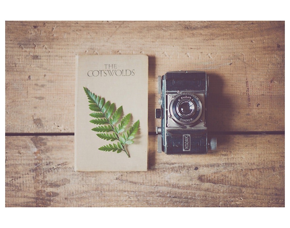 rustic photograph, camera photograph, woodland, book photograph, travel photograph, green, fern, leaf, beige, brown, cotswolds, england - oohprettyshiny