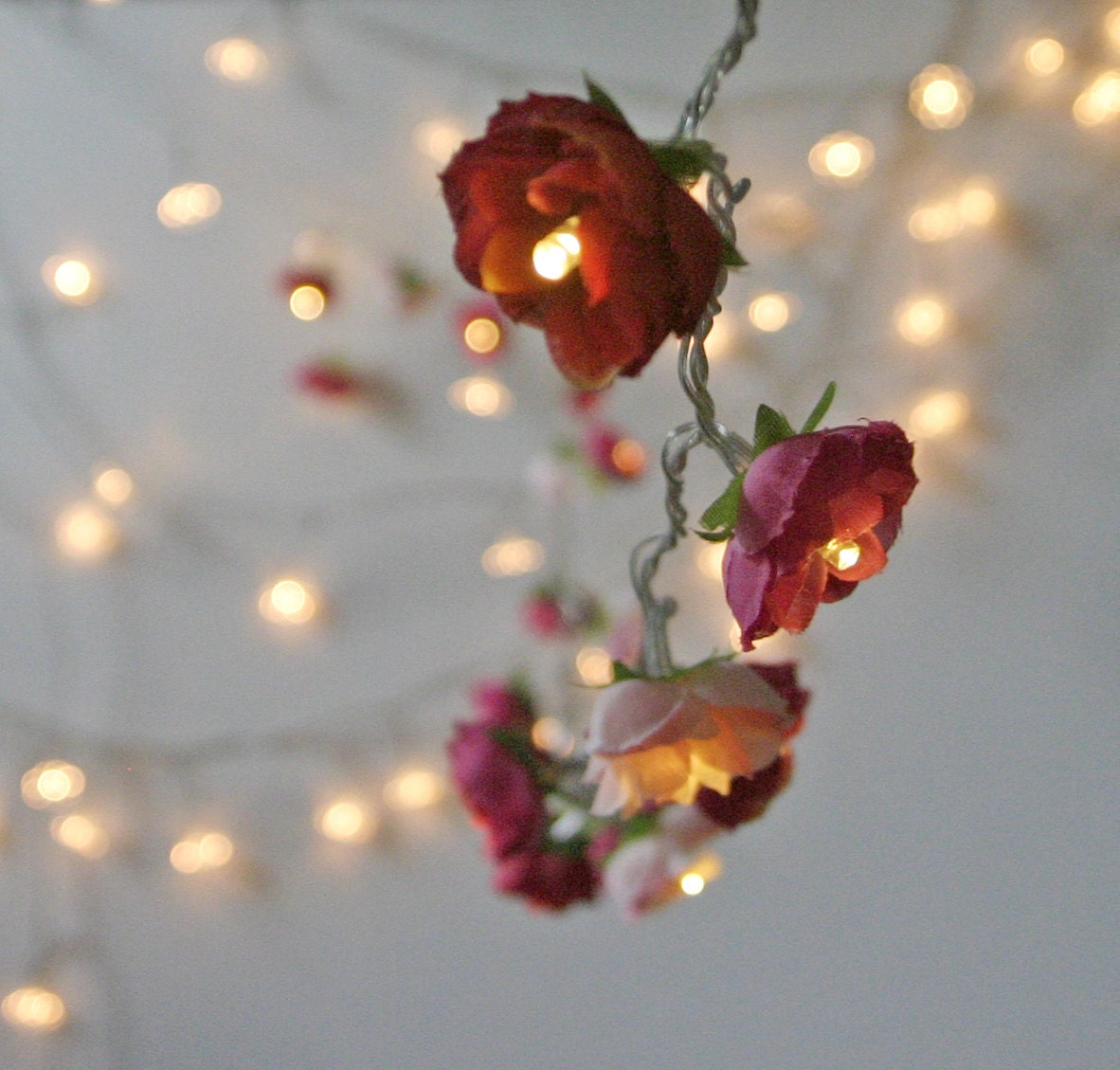 Bohemian Garden Mixed Rose Fairy Lights Pretty Flower String Lighting in Red and Pinks - PamelaAngus