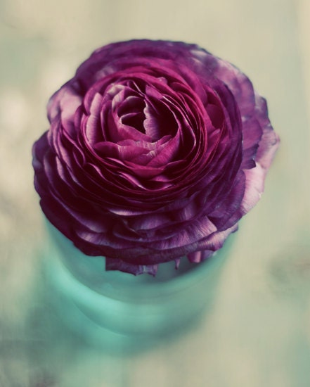 Purple ranunculus photograph- spring, teal, rustic, romantic, flower, floral wall art, botanical, vase, petals, 8x10, fine art photograph - dullbluelight