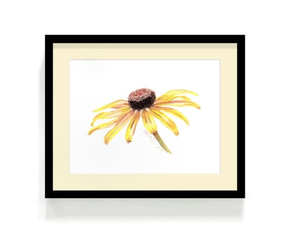 Black Eye Susan Chalk Pastel Print Black Eye Susan Chalk Pastel Print