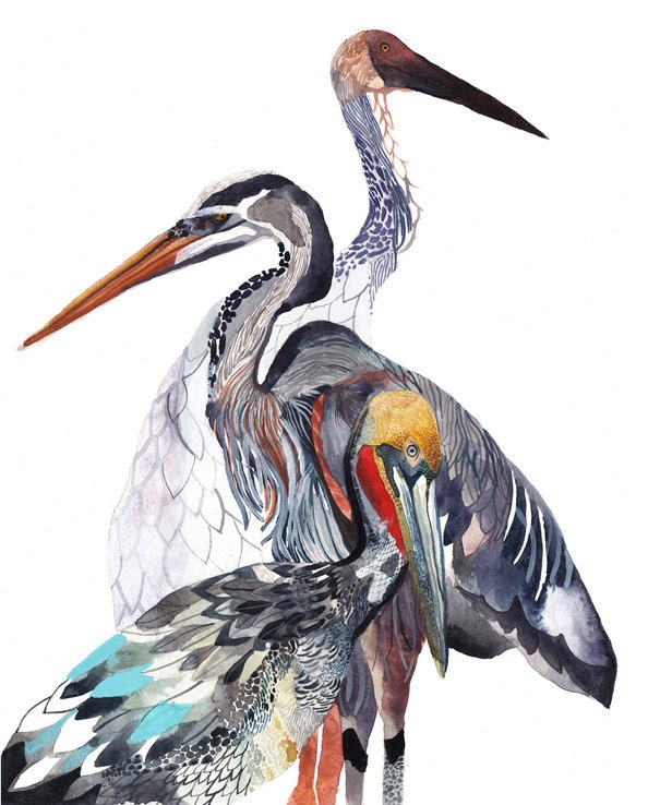 Pelican Heron and Crane Archival Print by unite