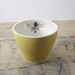 One Porcelain Yellow Bee Tea Cup