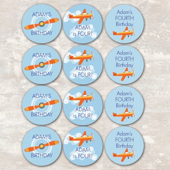 Airplane Birthday Party Cupcake Toppers (set of 12) PRINT & SHIP by