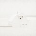 White Barn Photography Snow Winter Landscape 8x8
