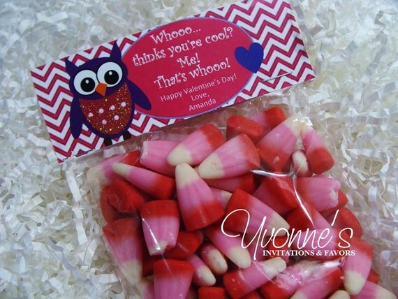 Valentine's Day Owl Treat Goody Bags
