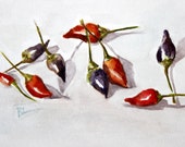 Amazing Chili Pepper Still Life - Water color - 9" x 11" - RTStyles