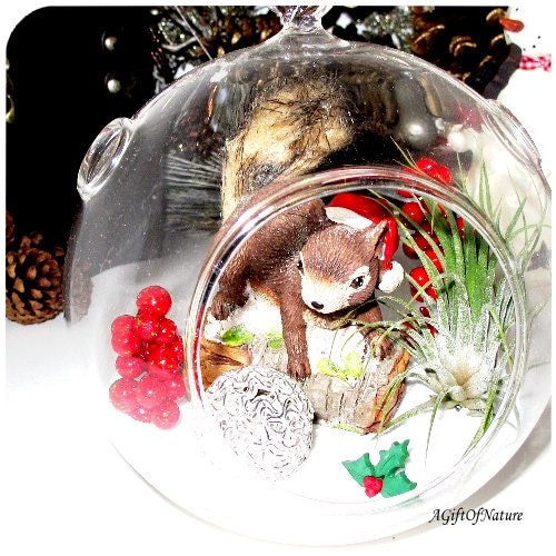 Rustic Christmas In The Woods Woodland Winter Terrarium - Glass Round Globe, Tillandsia Air Plant ~ Holiday Decor ~ Home Decor ~ Gift Idea - AGiftofNature
