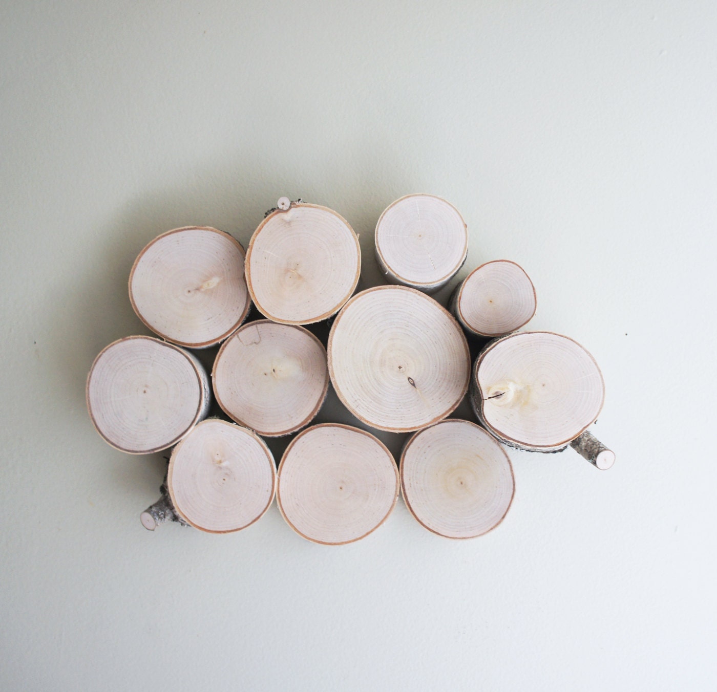 white birch forest topography - organic wood wall art