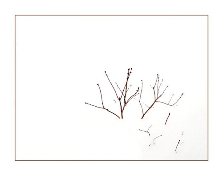 Brown Branches In The Snow Drifts, Haiku Snowstorm,  Nature, Maine, Winter, Woodland, Modern, Graphic Minimalist, FREE SHIPPING USA