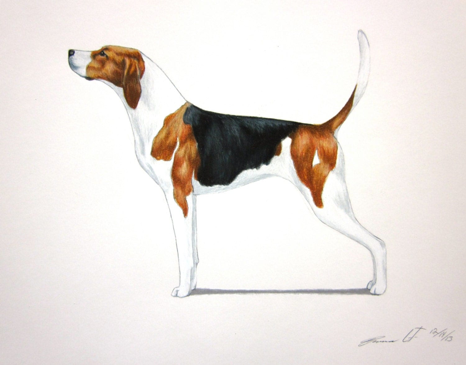 Treeing Walker Coonhound Dog Archival Fine Art by EmmasBestInShow
